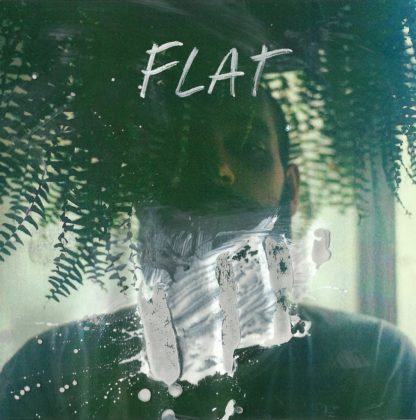 Cover of the Better Leave Town "FLAT" LP. It's a portrait of a person behind a plant (ferny) and wall paint around his neck. The color seems to be on the picture, not in.