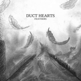 Dusty looking cover of the Duct Hearts "Feathers" LP showing the band name and album title surrounded by feathers. Like after a fight.