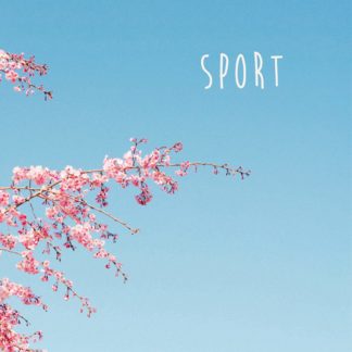 Cover of the Sport 2010-2019 Discography, showing a tree with pink blossoms in front of a clear blue spring / summer sky. Bandname is placed in the top right corner.
