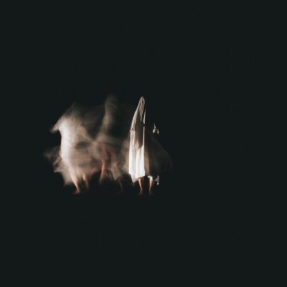 Cover of the Young Mountain "Lost Tree" LP showing a moving "Ghost" (person wearing a sheet) on a black background..