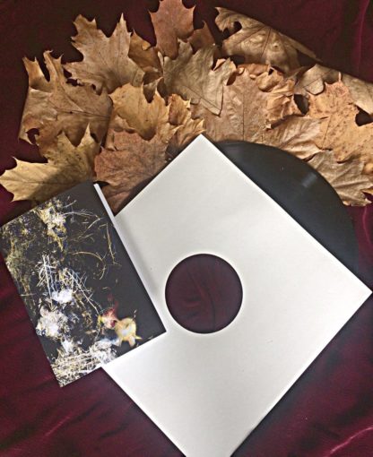 Photo of the Laudare ‎"d.é.o.m.é" LP showing the record (slightly pulled out of the sleeve) and the lyric book arranged on red velvet and leaves