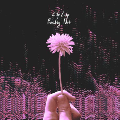 Cover of the ZilpZalp / Probably Not Split LP showing a hand that holds a single flower from the lower part of the cover up to the top. Pink color on a black background.