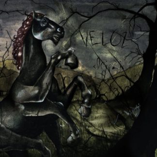 Cover of the Veloz "Sleipnir" 7" showing a scared, black horse in a dark forest.
