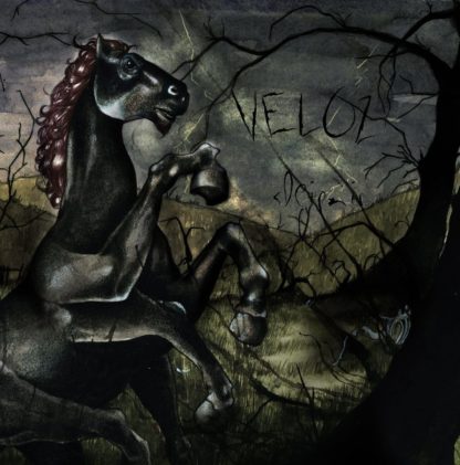 Cover of the Veloz "Sleipnir" 7" showing a scared, black horse in a dark forest.