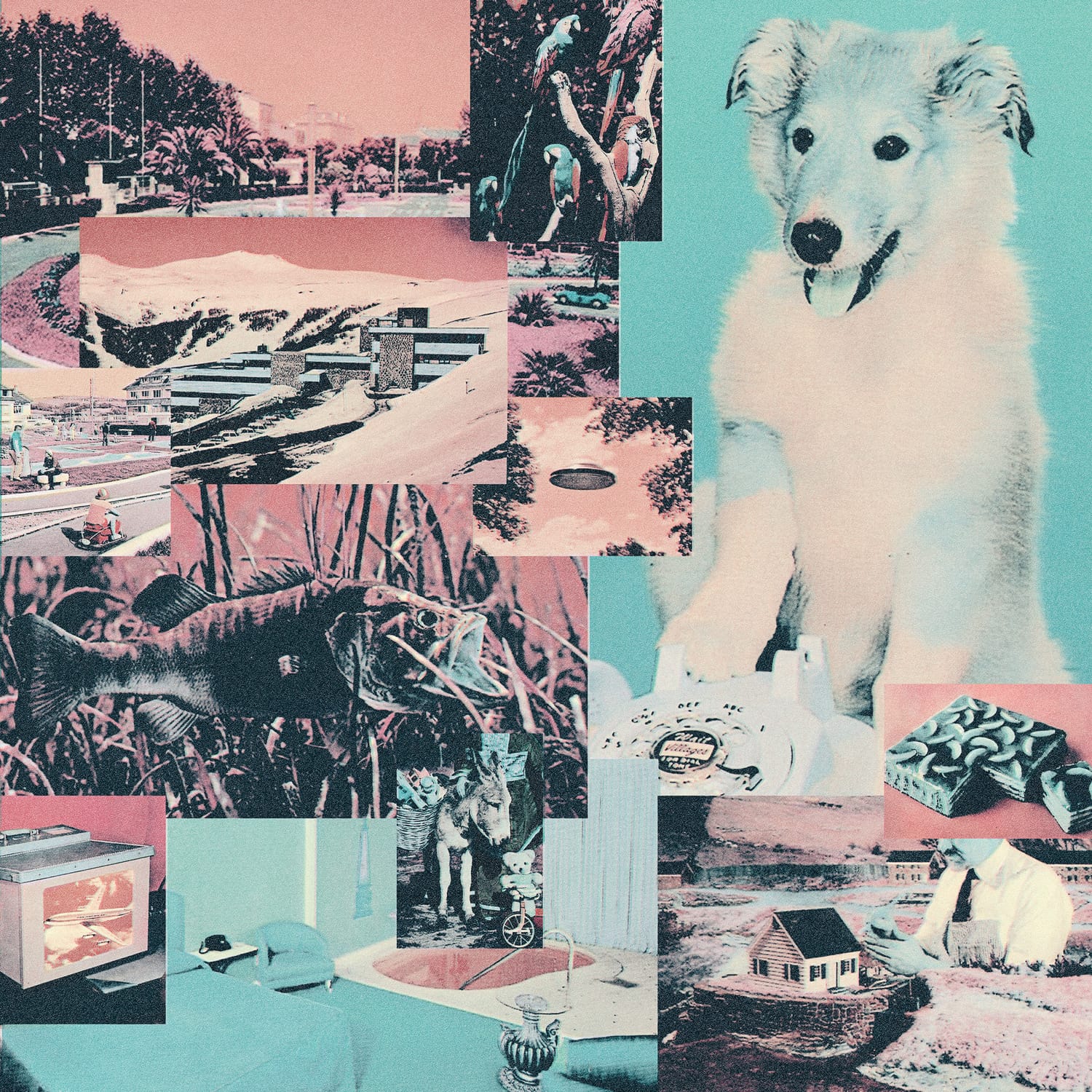 Cover of the Villages "EXCESSIVE DEMAND" LP showing a collage of multiple low-fi pictures in green / blue and red tone