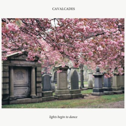 Cover of the Cavalcades "lights begin to dance" LP showing a blooming tree (pink / rose) on a graveyard